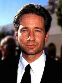 David Duchovny Hairstyles