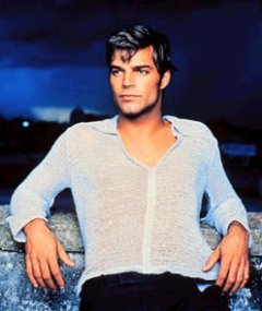 Ricky Martin Hairstyles