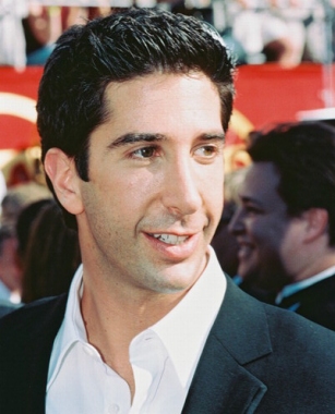 David Schwimmer Hairstyles