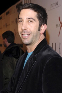 David Schwimmer Hairstyles