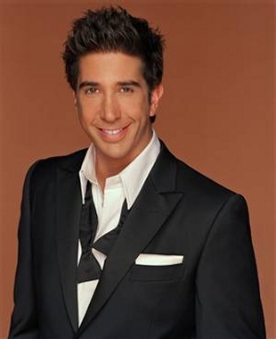 David Schwimmer Hairstyles