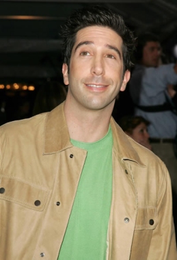 David Schwimmer Hairstyles