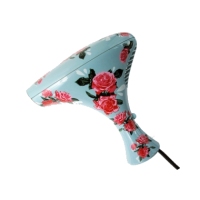 Larger image and more details about the Corioliss Mini Vintage Hairdryer