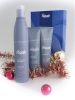 Click here for larger image and more details about the Lanza Hair Repair Gift Set