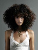 Long Brown Afro Hairstyle by Webster Whiteman