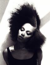 Long Black Afro Hairstyle by Bloww