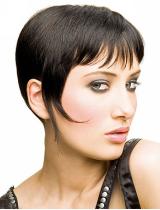  Brown Shortfringe Hairstyle by Steven Carey