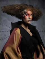  Brown Avant Garde Hairstyle by Steven Carey