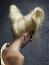   Avant Garde Hairstyle by Steven Carey