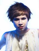 Short Brown Choppy Hairstyle by Barrie Stephen