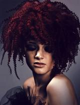  Brown Afro Hairstyle by Francesco Group