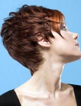 Brown Flicked Hairstyle by Web Collections