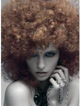  Brown Afro Hairstyle by TONI&GUY