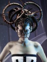 Long Brown Avant Garde Hairstyle by seanhanna