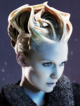 Avant Garde Hairstyle by seanhanna