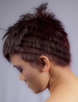 Short Brown Sculptured Hairstyle by Short Cuts