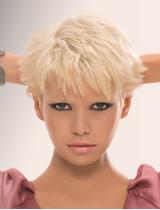 Short  Modern Hairstyle by Dessange Paris