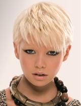 Short  Modern Hairstyle by Dessange Paris