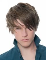 Mens Medium Brown Hairstyle by Guy Kremer