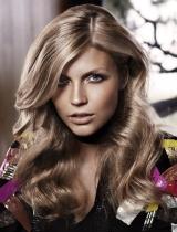  Blonde Classic Hairstyle by Goldwell