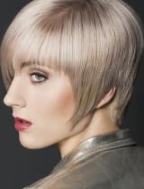   German-Salon Hairstyle by Hair Arena Intercoiffure