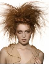 Long Brown Spikey Hairstyle by Ishoka