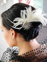 Fascinator Hairstyle by Web Collections