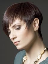   Feathered Hairstyle by Hair Arena Intercoiffure