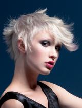   German-Salon Hairstyle by Hair Arena Intercoiffure