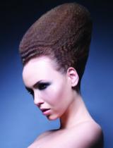  Brown Avant Garde Hairstyle by seanhanna