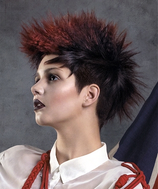 A medium brown straight coloured Multi-Tonal spikey hairstyle by Ciente