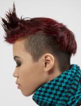   Shaved-Sides Hairstyle by Short Cuts