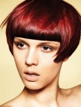 Short Brown Hairstyle by Francesco Group