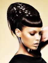 Black Plaited Hairstyle by Francesco Group