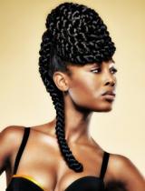 Black Plaited Hairstyle by Francesco Group