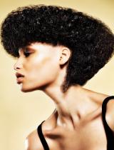 Black Sculptured Hairstyle by Francesco Group