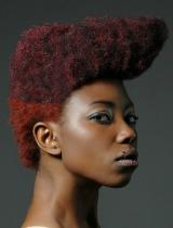 Medium Brown Afro Hairstyle by Nicky Oliver