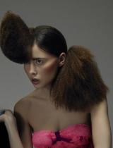  Brown Avant Garde Hairstyle by Craig Chapman