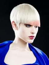 Andrew Collinge