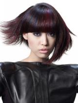   Sleek Hairstyle by Wella