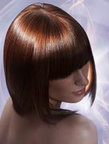   Sleek Hairstyle by Wella