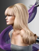   Smooth Hairstyle by Wella