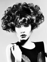   Hold Hairstyle by Francesco Group