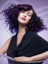   Hold Hairstyle by Wella