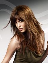 Long Brown Choppy Hairstyle by Wella