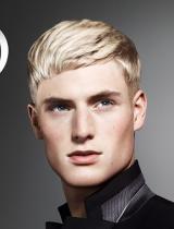 Mens Blonde Hairstyle by Wella