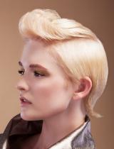 Short  Quiff Hairstyle by Karine Jackson