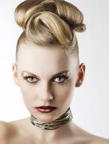 Party Hairstyle by Web Collections