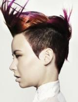   Multi-Tonal Hairstyle by Hooker & Young