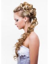 Long  Plaited Hairstyle by Web Collections